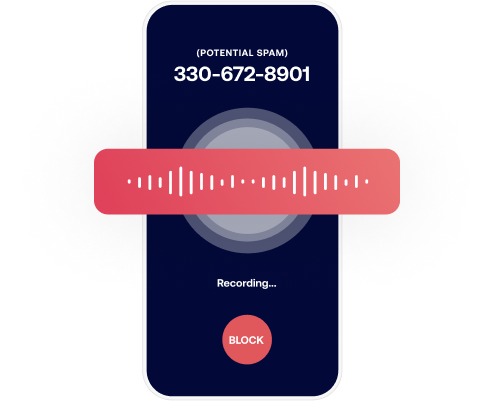 Audio Fingerprinting